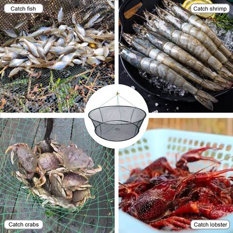 Bulk-buy Foldable Crab Fish Pot Crawdad Lobster Shrimp Fishing/Fish Net Eel  Bait Trap Cast Net price comparison