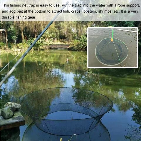 Foldable and Retractable Fishing net Multifunction Fish Trap Net Fishing  Gear Crab Prawn Shrimp Crayfish Lobster Crawdad Foldable : :  Sports & Outdoors