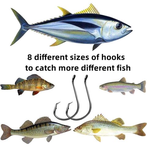 https://p.globalsources.com/IMAGES/PDT/B5835620383/Fishing-Hook.jpg
