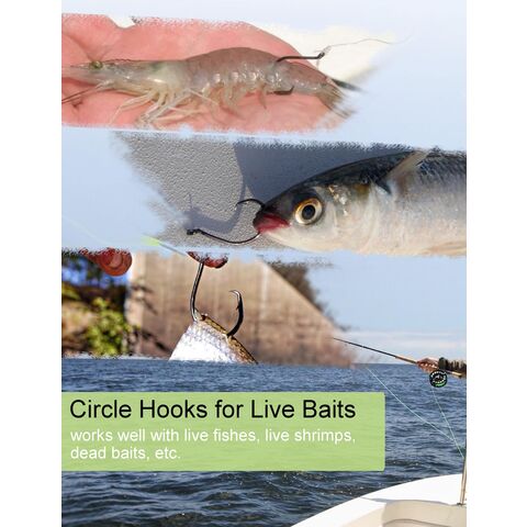 Circle Saltwater Fishing Catfish Catfishing 100 Pack Sport Circle