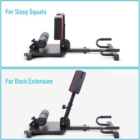 SQUATZ Sissy Squat Machine - Foldable Squatting Bench for Home Gym Workout  Station and Leg Exercise, Designed to Train Abs, Thighs, and Glutes