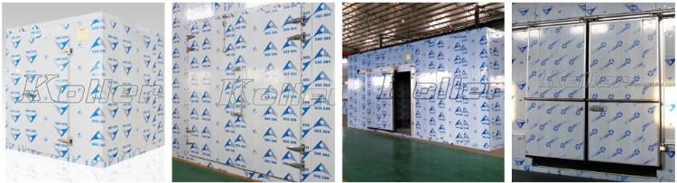 20ft Container Walk In Cold Storage Room Refrigerator Freezer ...