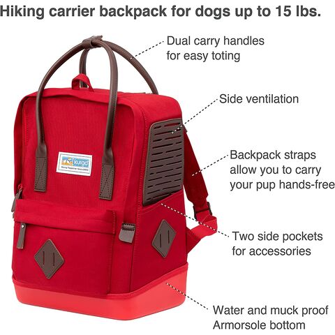 Free pet travel accessories samples