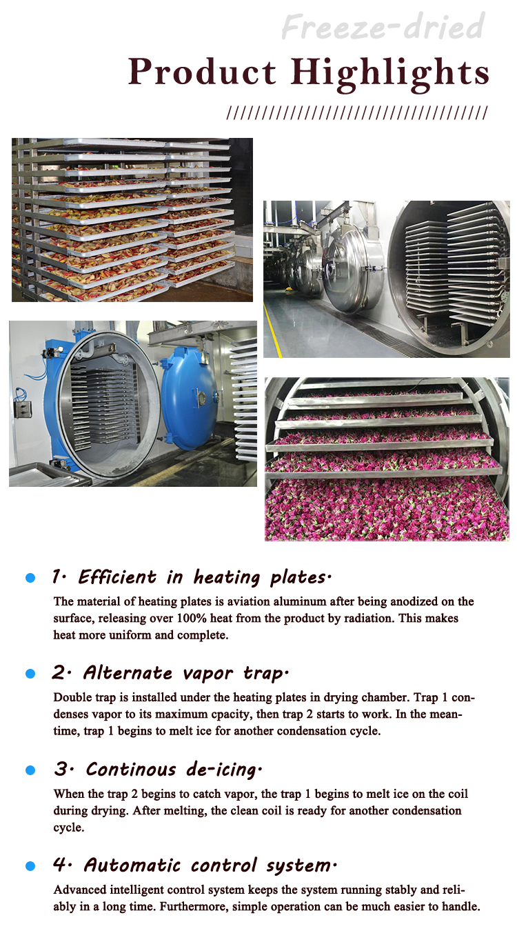 Intelligent Freeze-drying Machine, Fruit and Vegetable Food