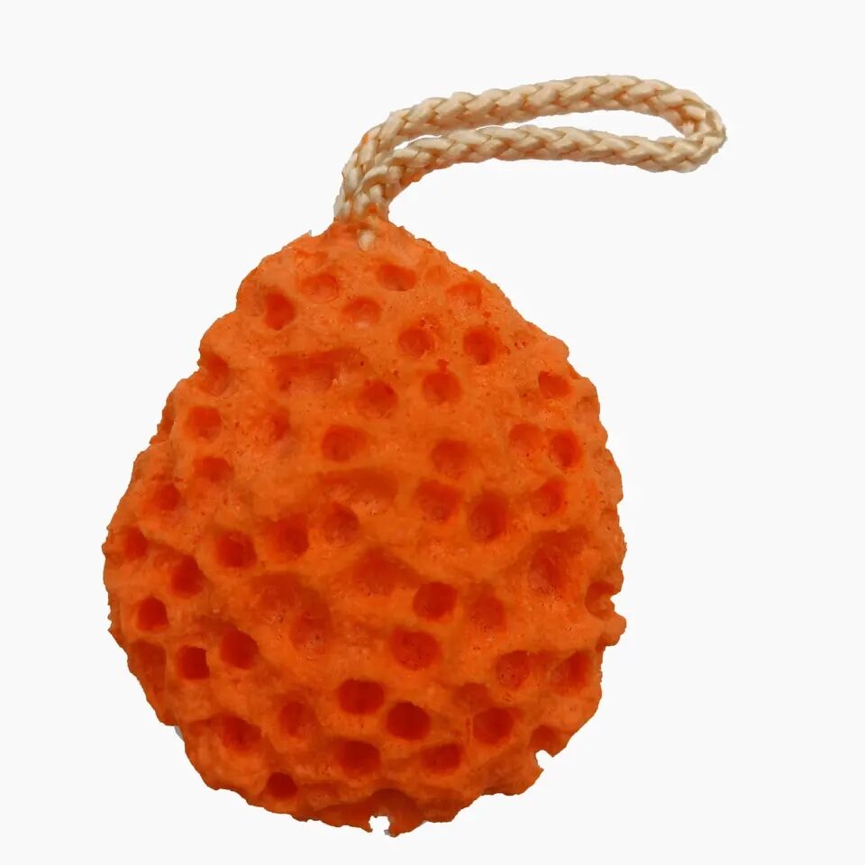 Bath Sponge Adalah