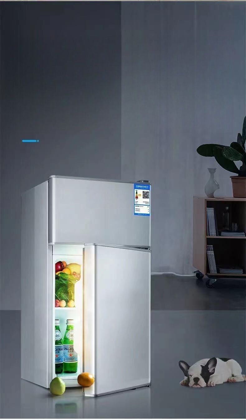 Hot Sale Small Household Double Door Single Dormitory Freezer Mini