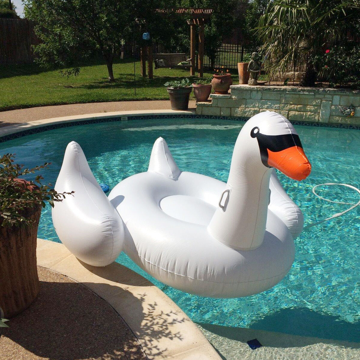 Bulk Buy China Wholesale Hot Sale Pin Whooper Swan Mount Summer Water ...