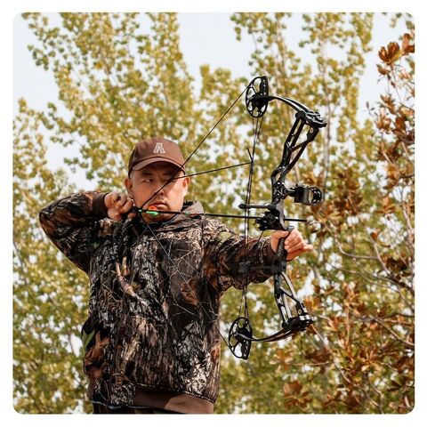 Bow hunting equipment for sale discount
