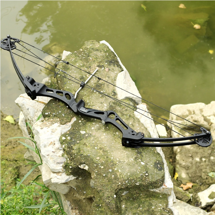Spg Archery Pulley Compound Bow Aluminum Alloy Riser Fiberglass Limb Outdoor  Training Competition Shooting Practice Powerful Bow - Buy China Wholesale  Spg Archery Compound Bow $59.99