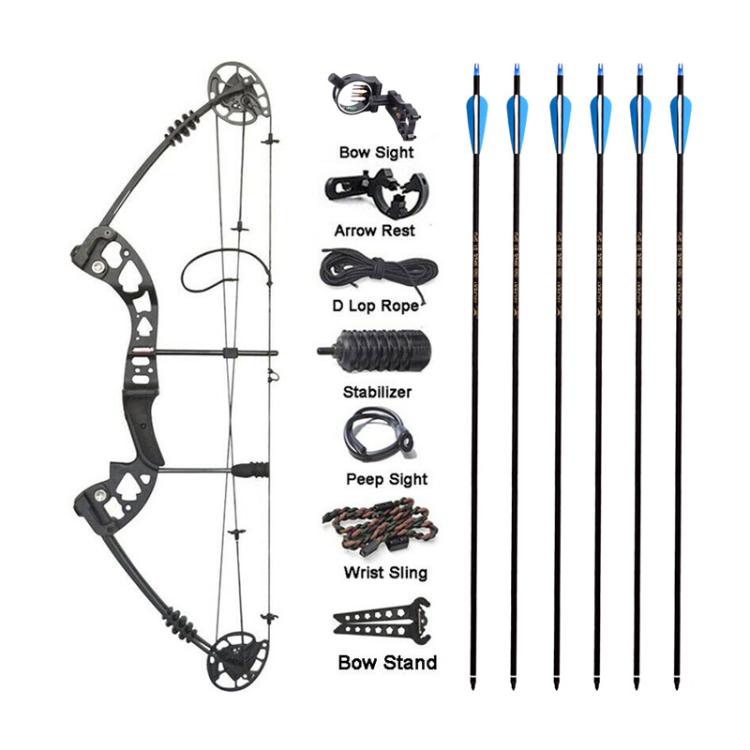 Bulk Buy China Wholesale Spg Pulley Compound Bow Set Metal Outdoor Hunting Arrow  Rest Bow Sight Stand Wrist Release Bowfishing Archery Accessories Kit $80  from Henan Sunpai Sports Equipment Co., Ltd.