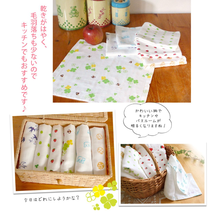wholesale products] hiorie osaka senshu brand