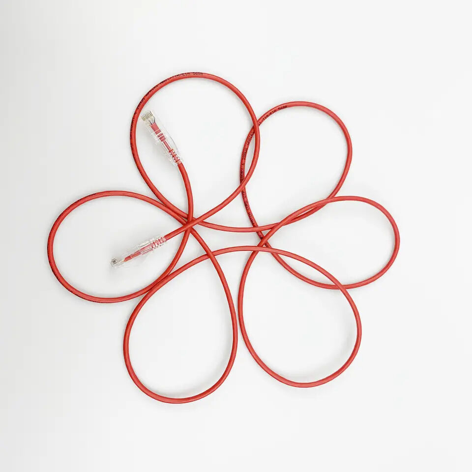 Buy Wholesale China Wholesale Cat6 Ultra Slim Ethernet Patch Cord Cat6 buy-wholesale-china-wholesale-cat6-ultra-slim-ethernet-patch-cord-cat6