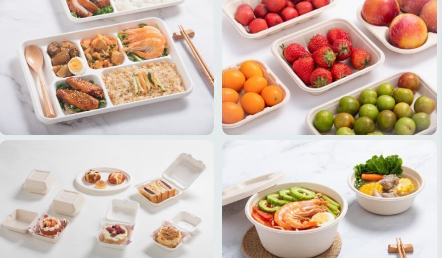 Buy Wholesale China Eco Fast Food Packaging 6 Inch Biodegradable ...