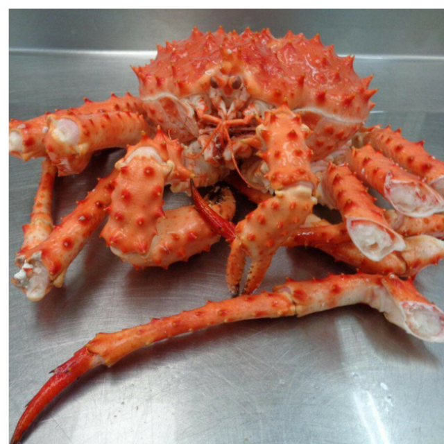 Buy Wholesale South Africa Live Dungeness Crab | Cooked Dungeness Crab ...