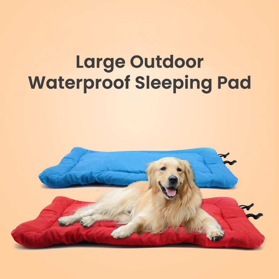 Lit pour chien pliable et imperméable, matelas, facile à nettoyer, fond  antidérapant