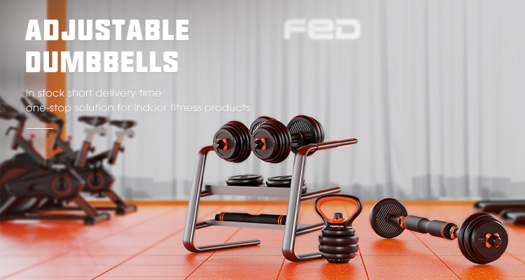 Feierdun dumbbell online