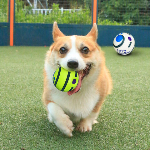 https://p.globalsources.com/IMAGES/PDT/B5845391304/Cat-dog-toy-balls.jpg