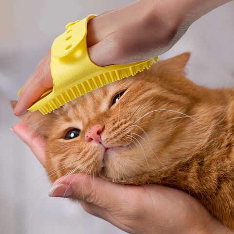 Acheter 3 en 1 brosse à vapeur pour chat pour animaux de compagnie chat  chien Spray peigne de Massage auto-nettoyant vapeur chat chien brosse bain  pour animaux de compagnie brosse de toilettage