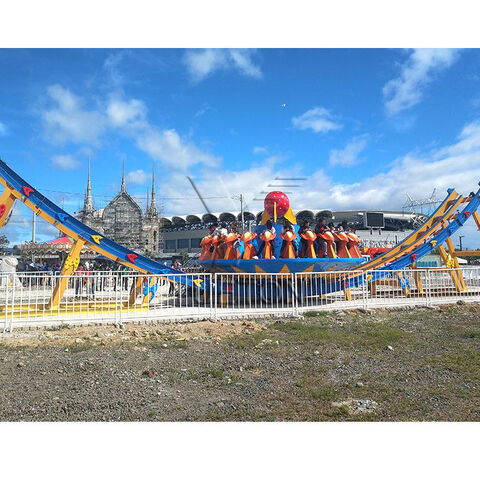 洋書 Roller Coasters Flumes and Flying Saucer Buy Standard Quality China Wholesale Thrilling Flying Saucer