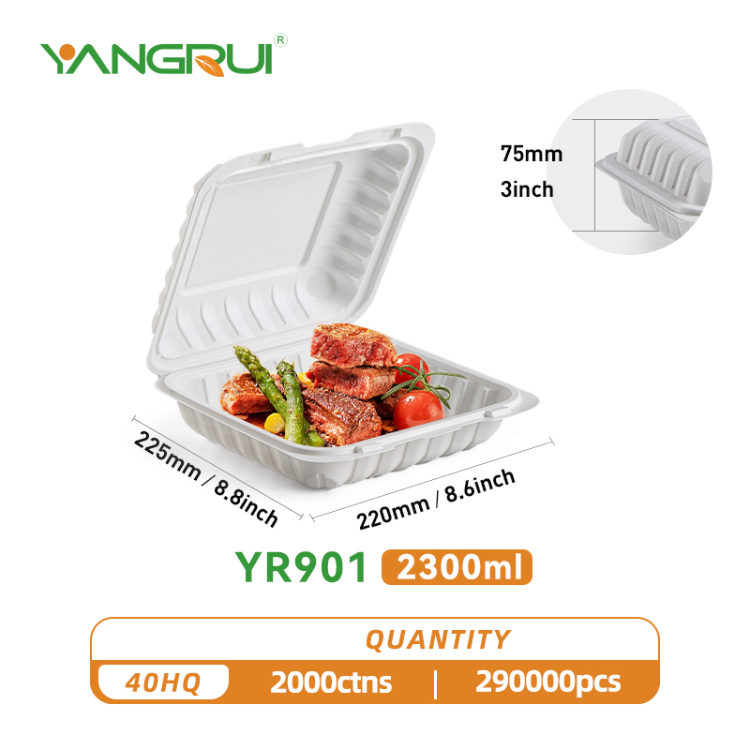 Mineral Filled Disposable Takeaway Polypropylene Togo Boxes Carry out  Hamburger Hinged Lid Food Containers - China Carry out Hamburger Hinged Lid  Food Containers and Mineral Disposable Takeaway Togo Boxes price