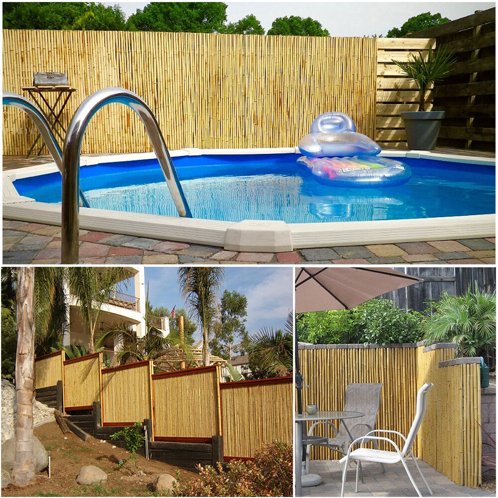 Factory Direct High Quality China Wholesale Nature Garden Bamboo Stick ...