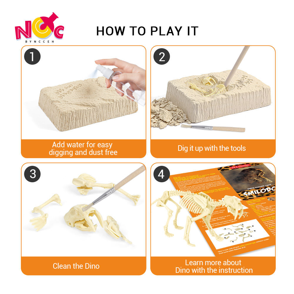 Kit De Excavación Arqueológica Para Niños Con Martillo Y Pincel | Juguete Educativo De Paleontología