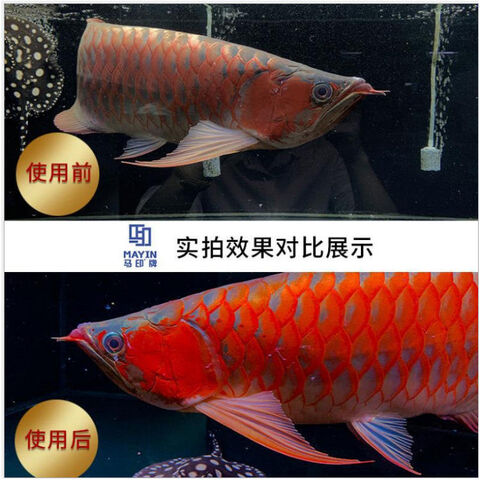Bulk Buy China Wholesale Mayin Light For Aquarium Waterproof