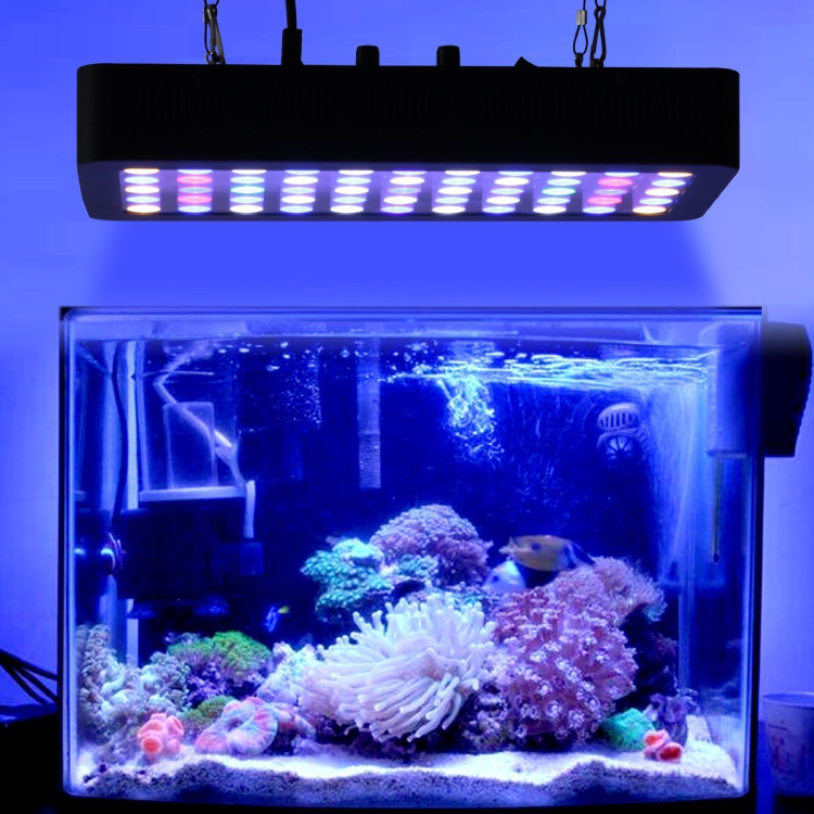 View of Cheap Ac85-264v 165w Metal Case Body Full Spectrum Led Aquarium Light ...