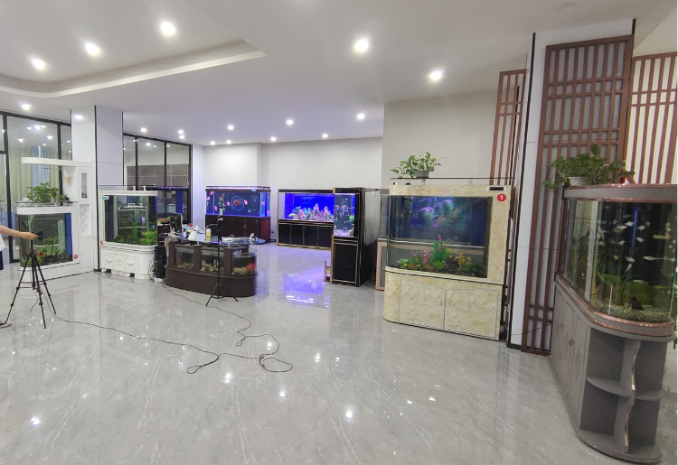 Aquarium Fish Tank Acrylic Fish Aquarium Tank Table China Wholesale