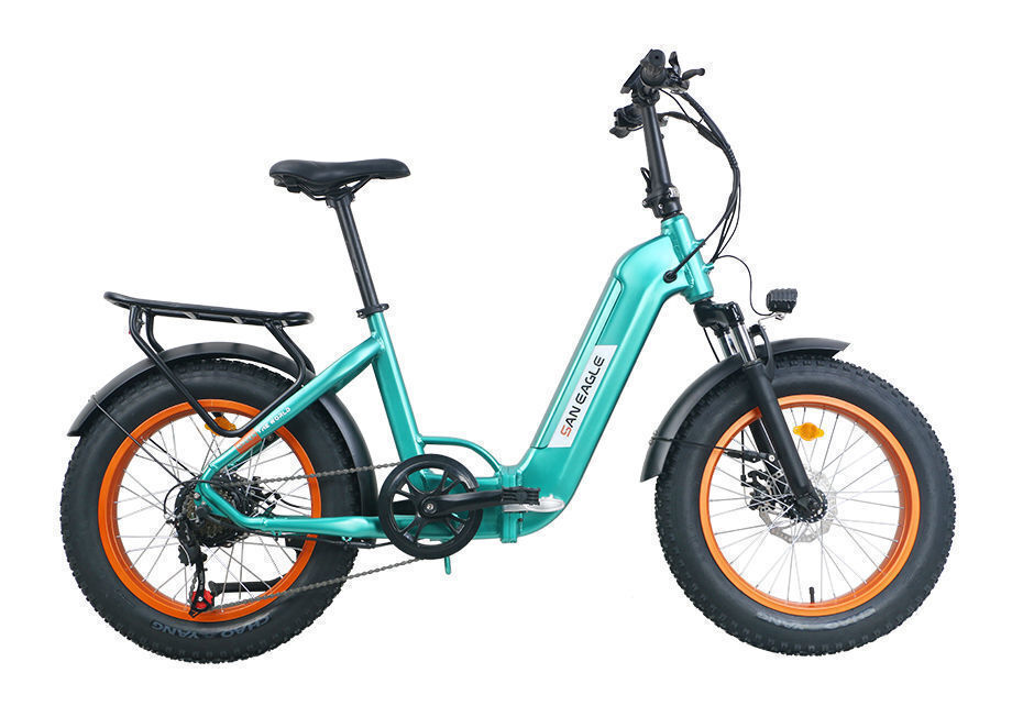 custom electric bike for sale