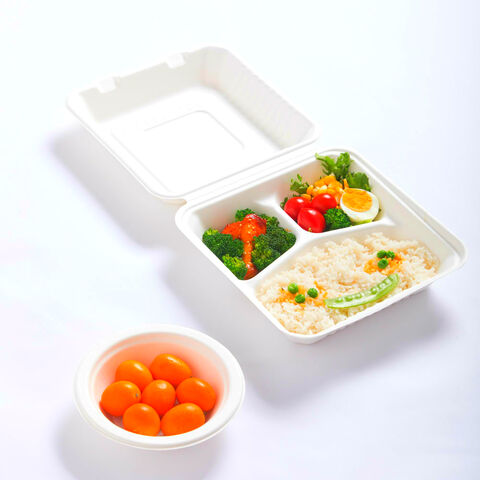 Buy Wholesale China Disposable Compartment Food Container Custom Disposable  Plastic Bento Box With Lid & Disposable Plastic Bento Box With Lid at USD  0.18