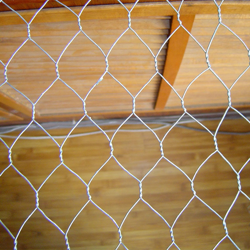 Buy Wholesale China Various Types Of Chicken Wire Mesh & Galvanized
