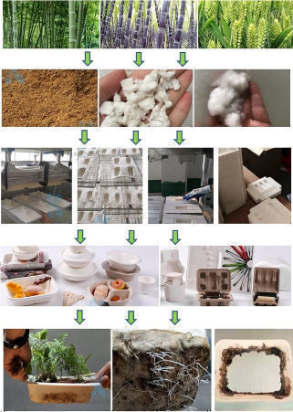 Odm Supplying Biodegradable Packaging And Eco-friendly For More Than 10 ...