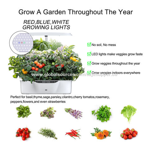 Sistema de Cultivo Hidropónico Masmire para Plantas de Interior, Jardín de Hierbas con Luces LED de Crecimiento de 36W 80, 12 Kits