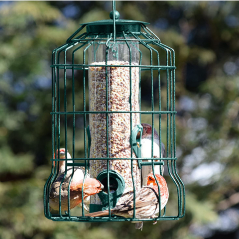 2 Mangeoires à Oiseaux Transparentes – Distributeur De Graines Pour Oiseaux Sauvages – Suspendue, Facile à Nettoyer – Pour Jardin, Balcon, Terrasse