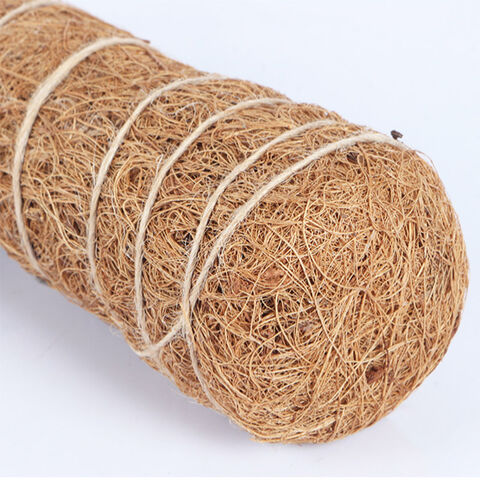 Bâtons de mousse de 30 cm pour plantes, fibre de coco pour totem