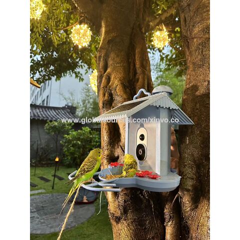 Achetez en gros Hibird Smart Bird Feeders Maison Pour L'extérieur