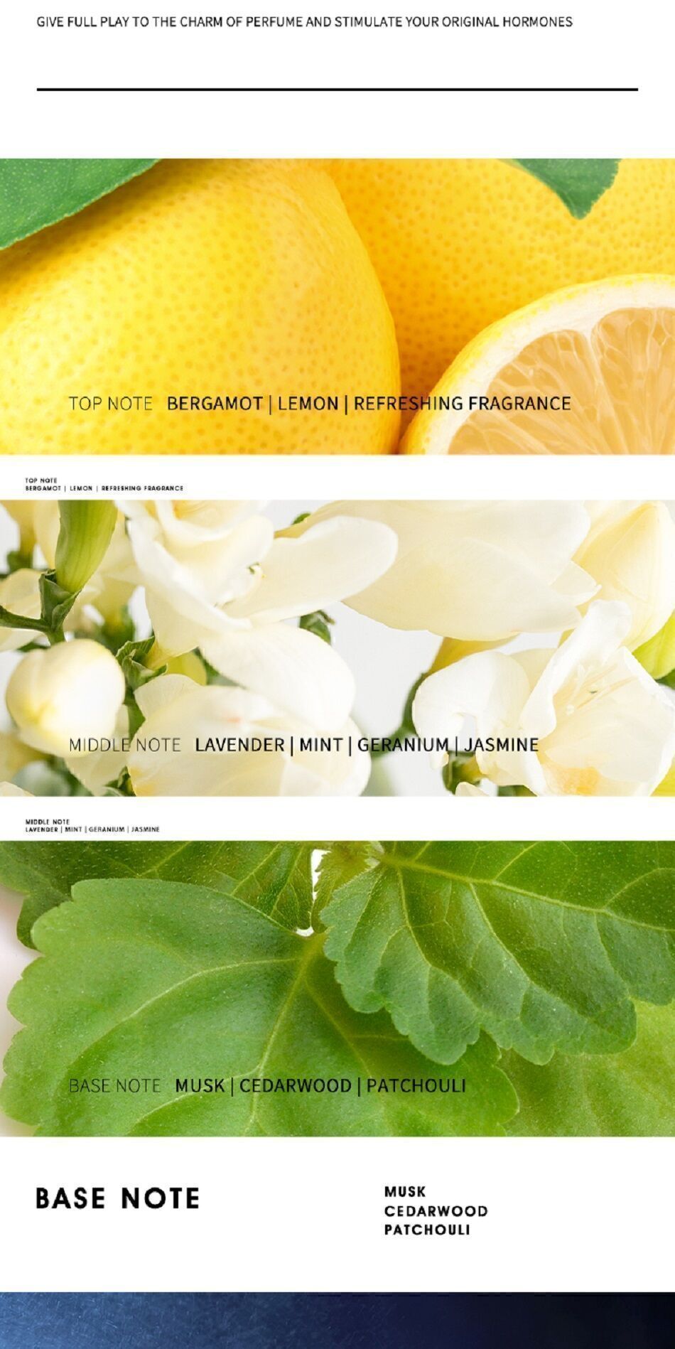 Buy Wholesale China Factory Perfume Original Design Oud For Men Leather ...