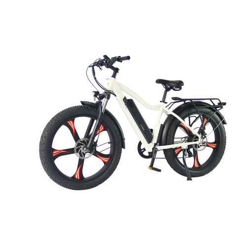 Velo electrique longue discount distance