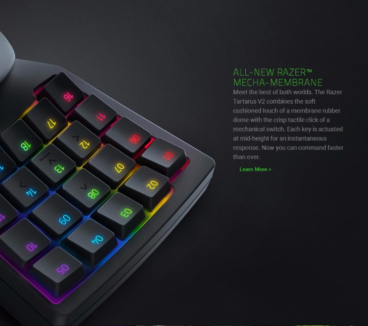 キーボード Tartarus V2 Mecha Membrane Key Amazon.com: Razer Tartarus V2 Gaming Keypad: Mecha Membrane