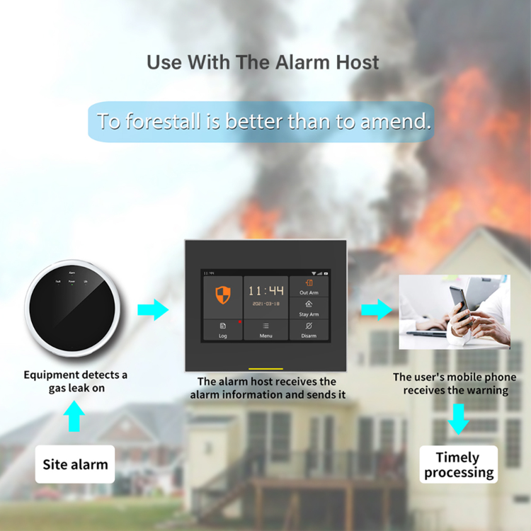 Buy Wholesale China Staniot Customized Tuya Wifi Natural Gas Sensor