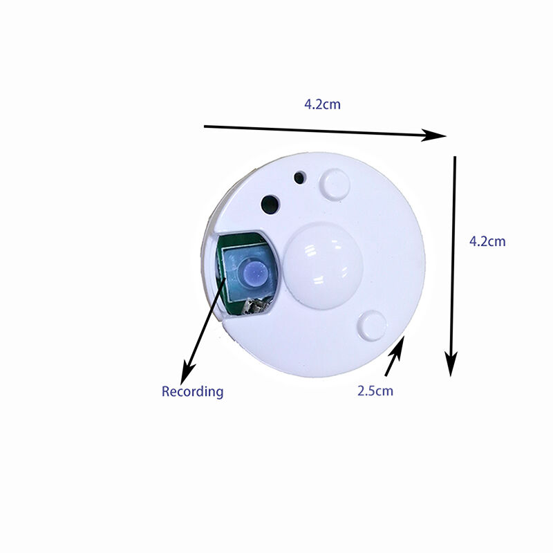 Buy Wholesale China Wholesale High Quality Recordable Teddy Bear With Voice Recording Toy Device