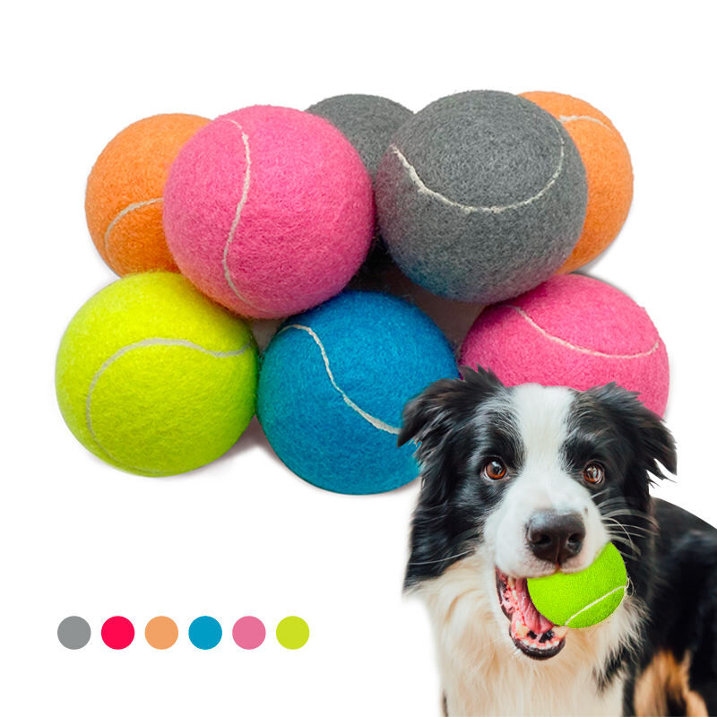Outdoor Dog Tennis Ball Dog Squeaky Toy Dog Puzzle Ball