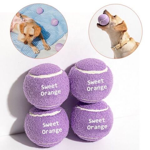 Buy Wholesale China Pet Supply Squeaky - Ready Set Fetch Dog Toy