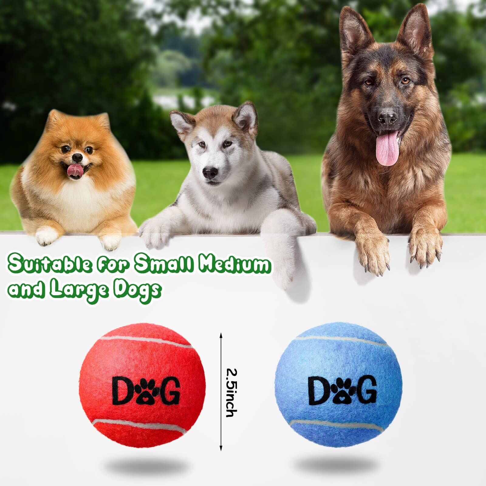 https://p.globalsources.com/IMAGES/PDT/B5875432960/Dog-Toy-Tennis-Balls.jpg