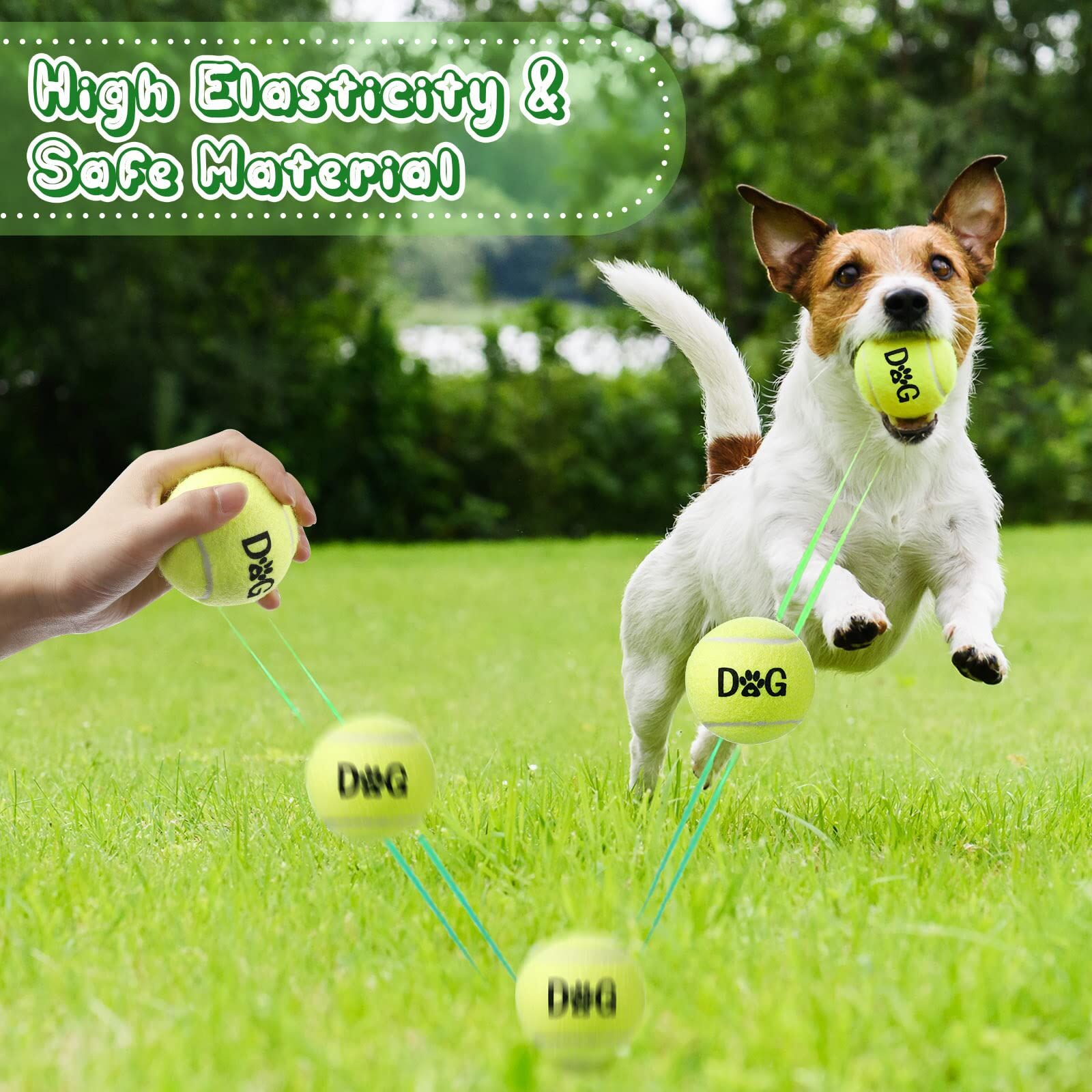 Buy Wholesale China Pet Supply Squeaky - Ready Set Fetch Dog Toy