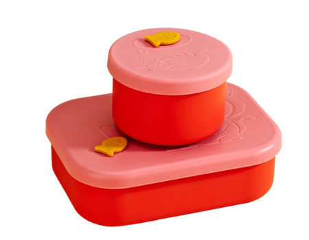 https://p.globalsources.com/IMAGES/PDT/B5876898548/Silicone-Food-Container.jpg