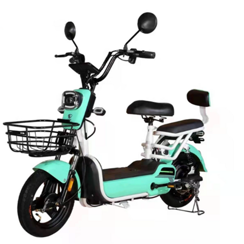 Tailg electric best sale bike for sale