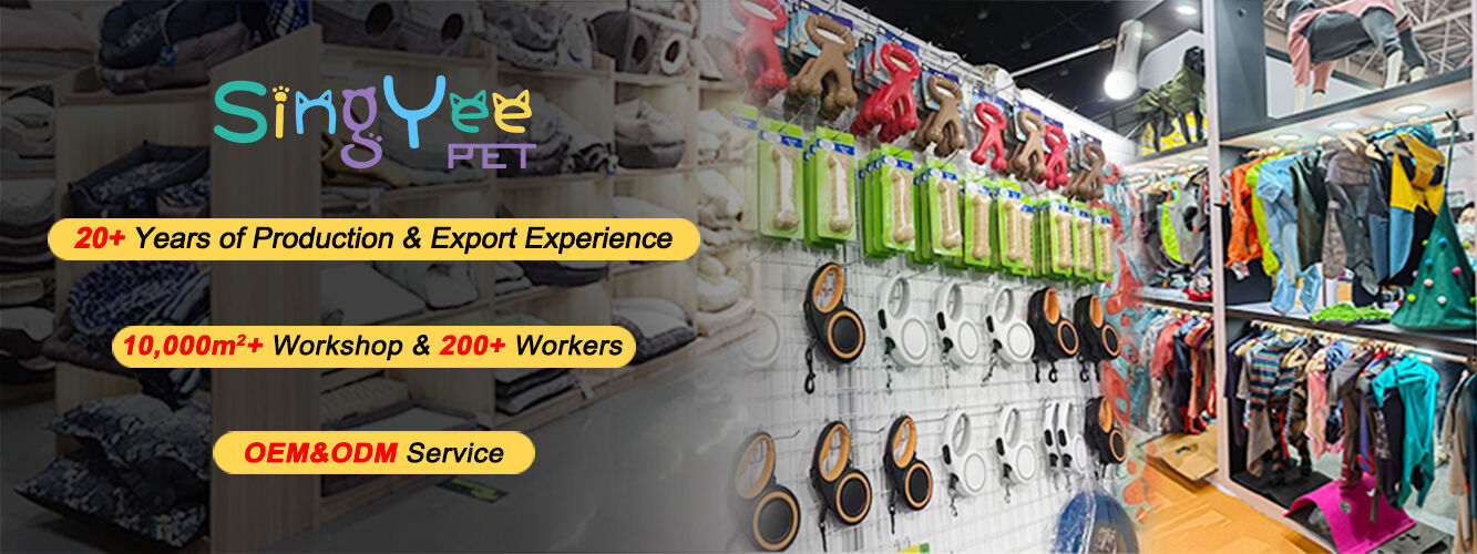 Pet Accessory Flocking Custom Slogan Dog Collars Nylon Pet Dog Collar