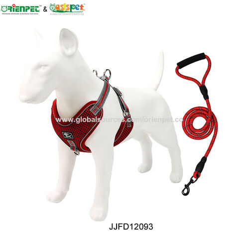 ORIENPET &amp; OASISPET Haustier-Halsband-Haustier-Leine-Leine JJFD13449 Haustier-Produkte